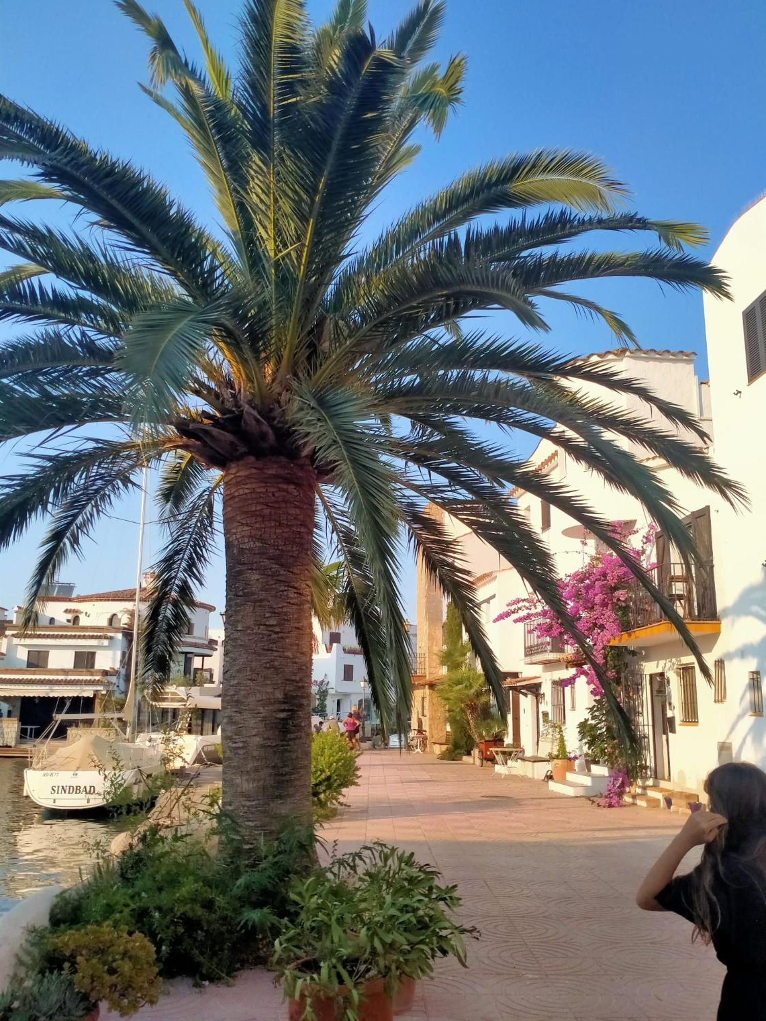 Blue Butterflies Studio Ampuriabrava Exterior foto